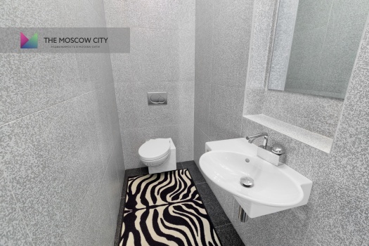 Аренда апартаментов в Город Столиц - Башня Москва 238 м² - фото 7