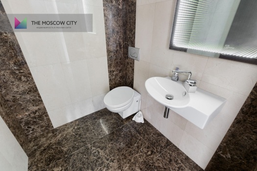 Аренда апартаментов в Город Столиц - Башня Москва 224 м² - фото 11